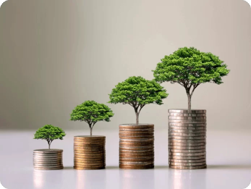 Smart Money, Strong Business: The Powers Behind Every Successful Company