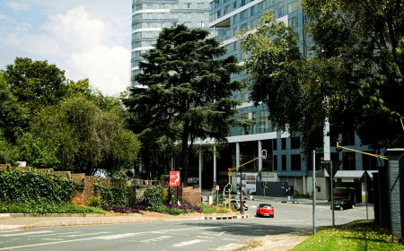 South Africa Let AI Write Its AI Policy. It Did Not Go Well.