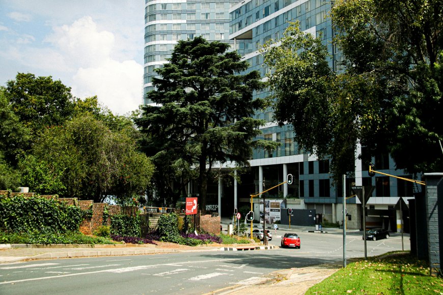 South Africa Let AI Write Its AI Policy. It Did Not Go Well.